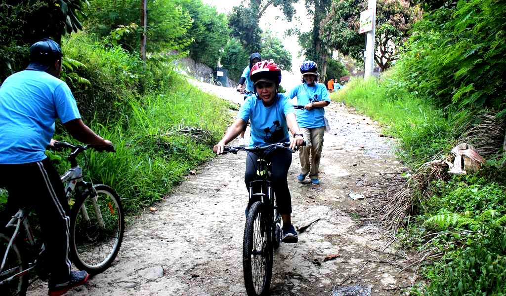 Bike Adventure 4