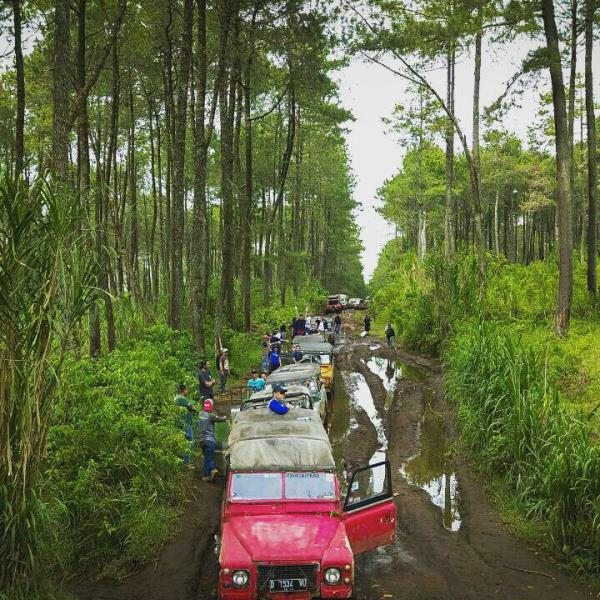 Off Road 4