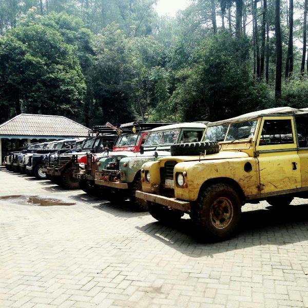 Off Road 6