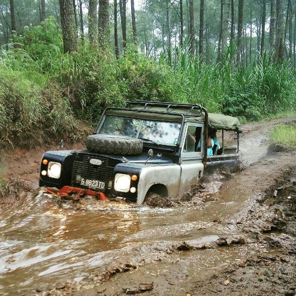 Off Road 8