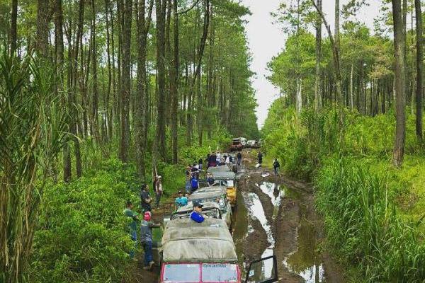 Off Road 4