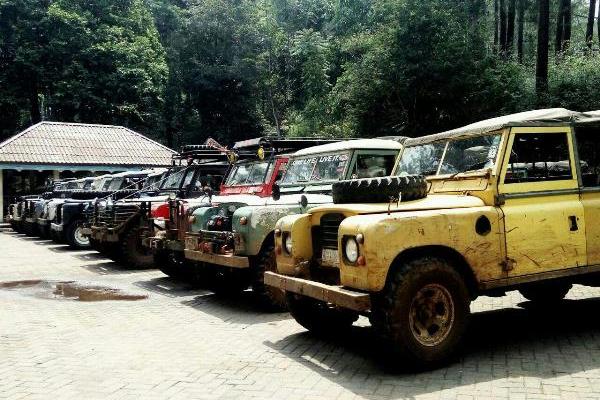 Off Road 6