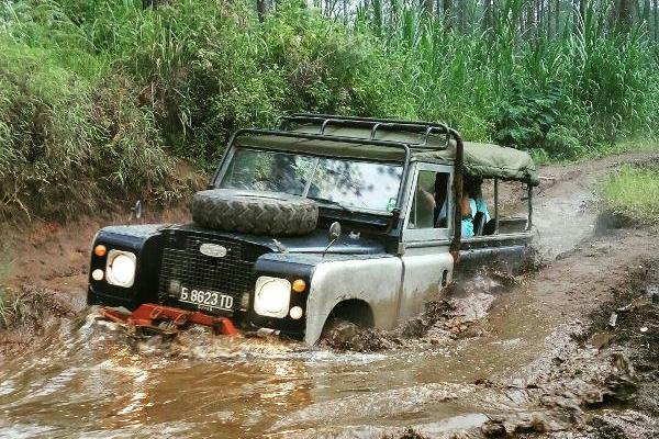 Off Road 8